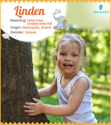 Linden means linden tree hill