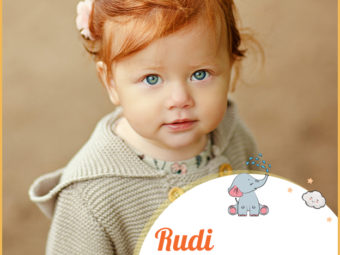 Rudi means fame or reddish
