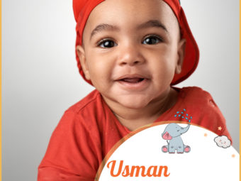 Usman, means baby bustard.