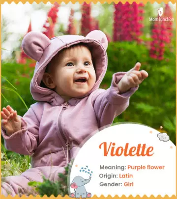 Violette refers to purple flower