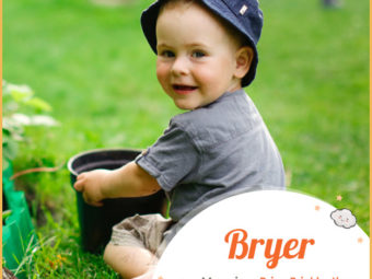 Bryer means brier or a prickly-thorn bush