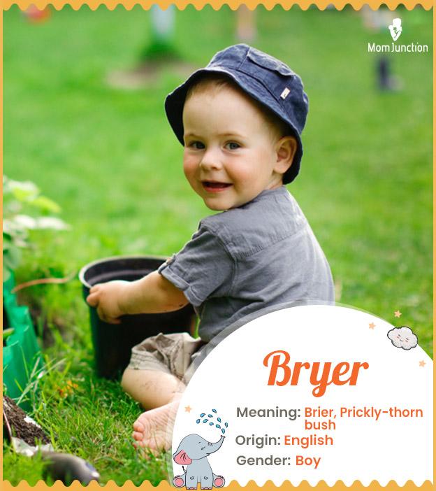 Bryer Name Meaning, Origin, History, And Popularity | MomJunction
