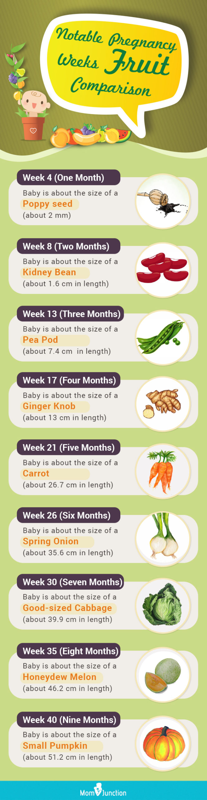 how big is your baby week by week fruit comparison (infographic)