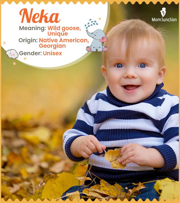Neka Name Meaning, Origin, History, And Popularity