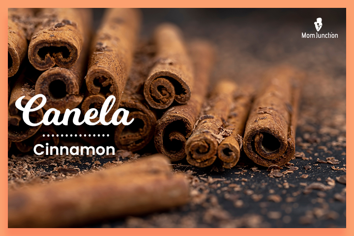 Dominican last names Canela means cinnamon