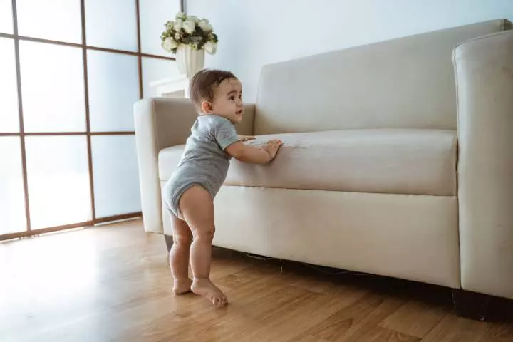 Cruising Along Furniture