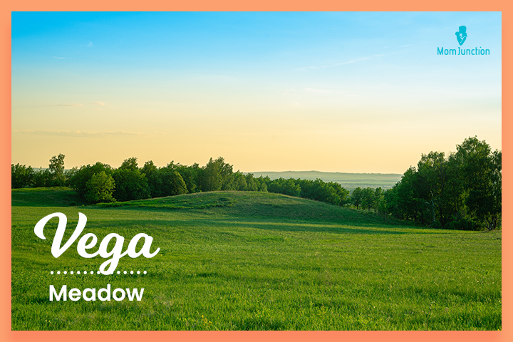 Dominican last names, Vega means ‘meadow.’