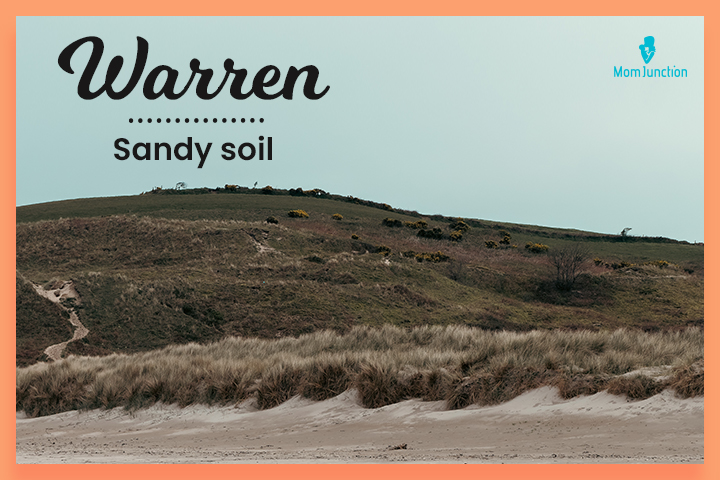 Witchy last names, Warren means ‘sandy soil’