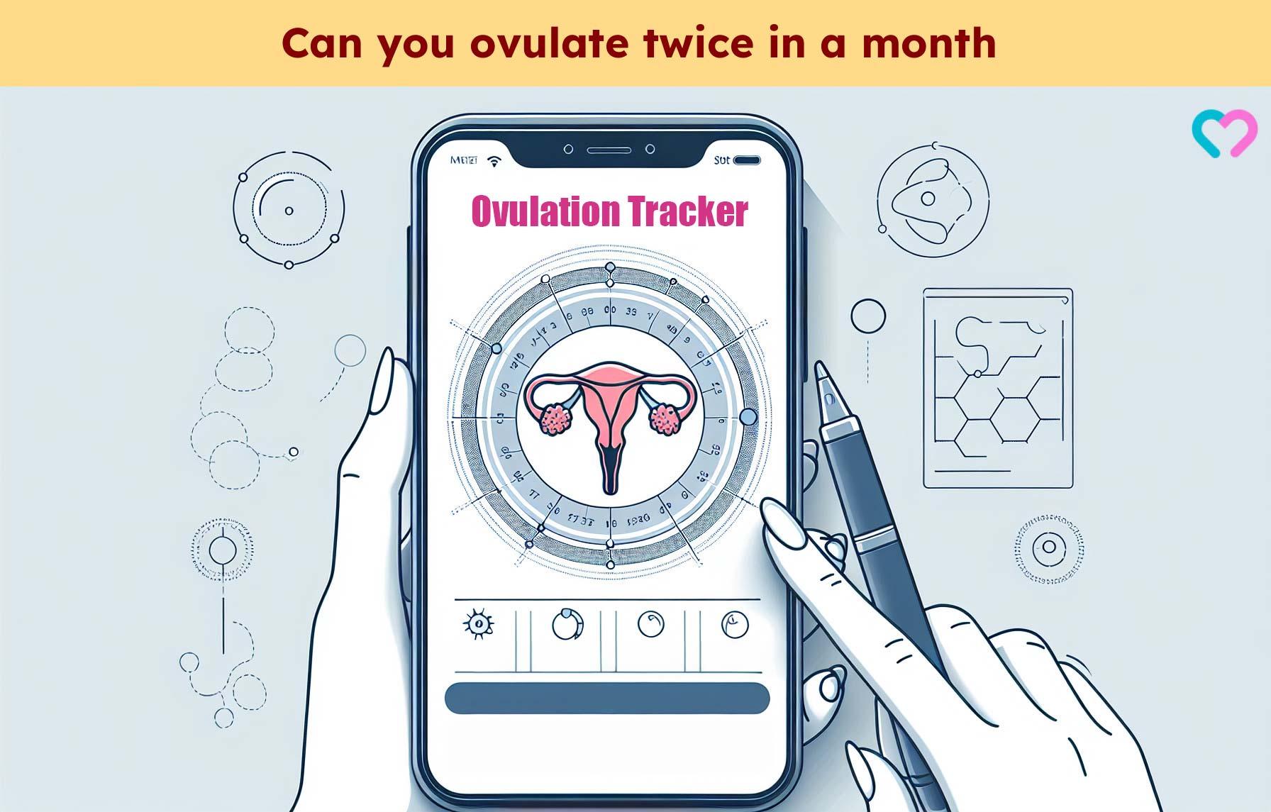 can you ovulate twice in a month_illustration