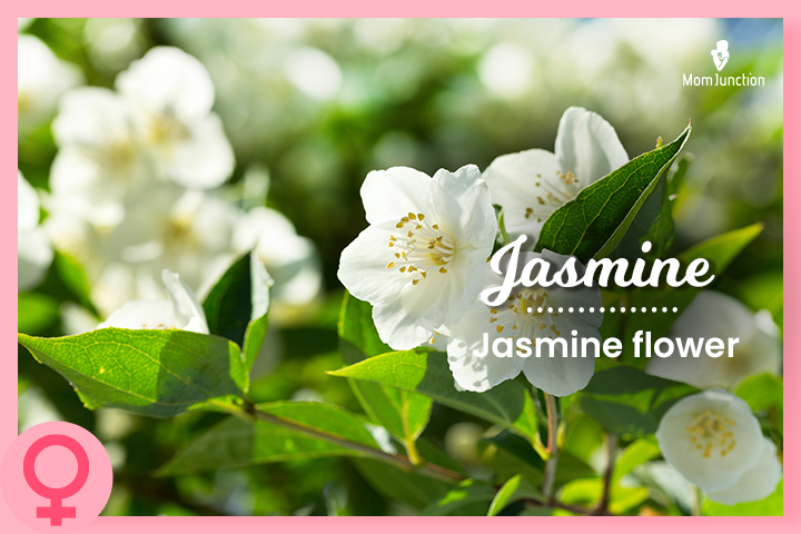 Nickname for James, Jasmine