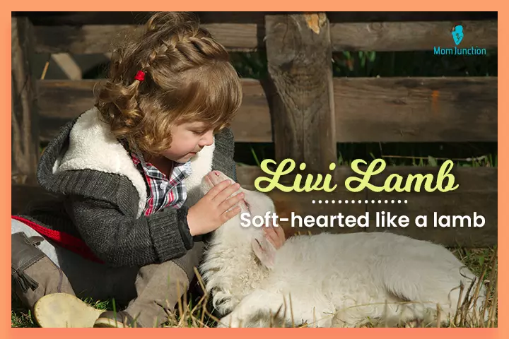 Nicknames for Olivia, Livi Lamb