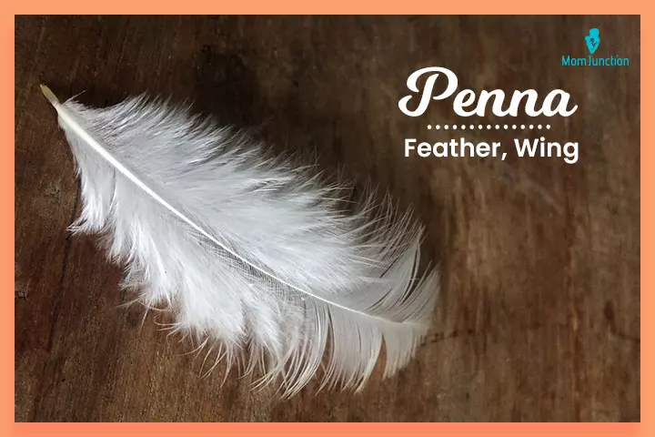 Nicknames for Penelope, Penna