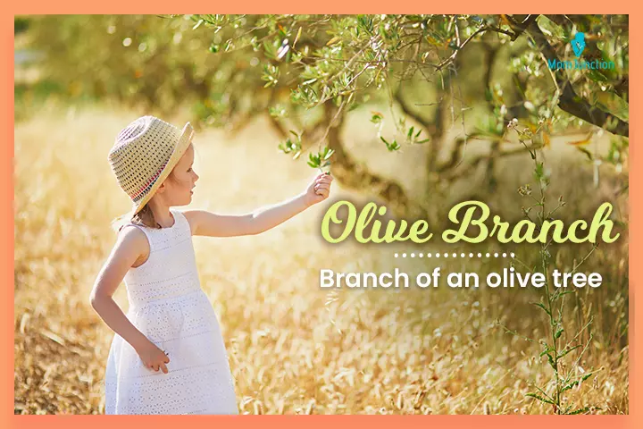 Nicknames for Olivia, Olive Branch