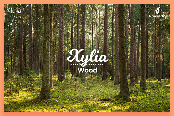 While more commonly used as a feminine personal name, Xylia can also be a last name. It is derived from the Greek word 'xylo’, meaning 'wood’, making it a forest-inspired name or a surname. 
