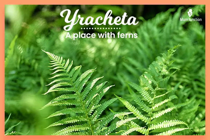 Yracheta is a last name that starts with Y