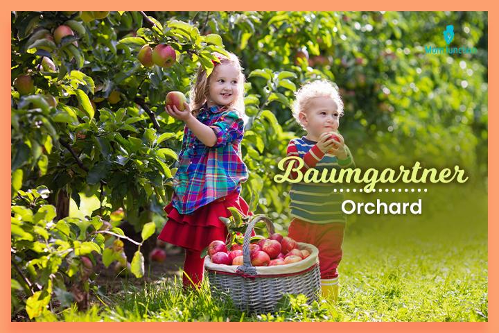 Last names that start with B, Baumgartner