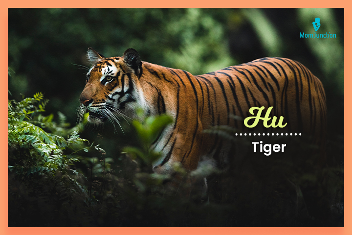 Last names that start with H, Hu meaning ‘tiger.’