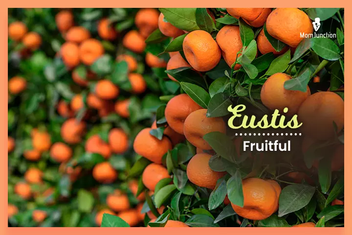Last names that start with E, Eustis meaning ‘fruitful’