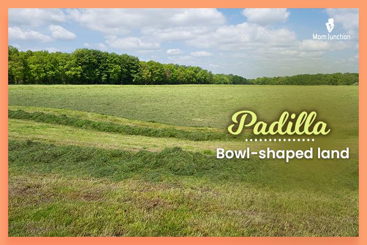 Last names that start with P, Padilla meaning ‘bowl-shaped land.’