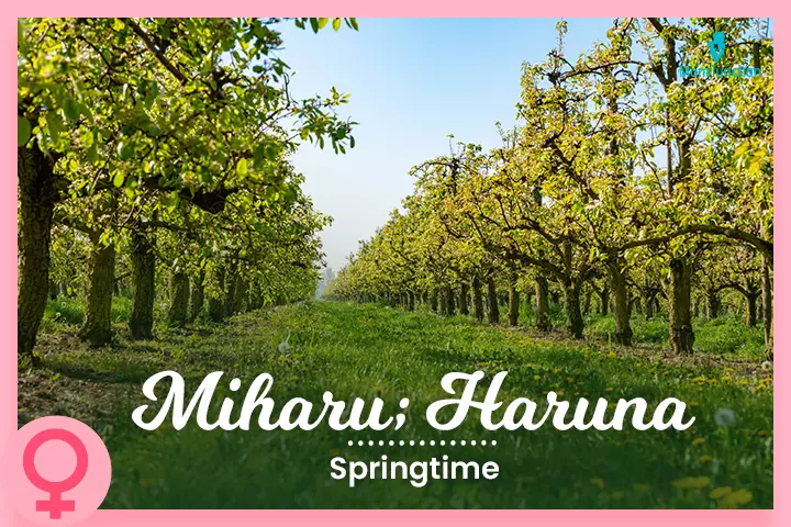 Miharu and Haruna denote springtime.