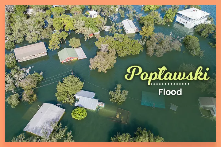 Last names that start with P, Popławski meaning ‘flood.’