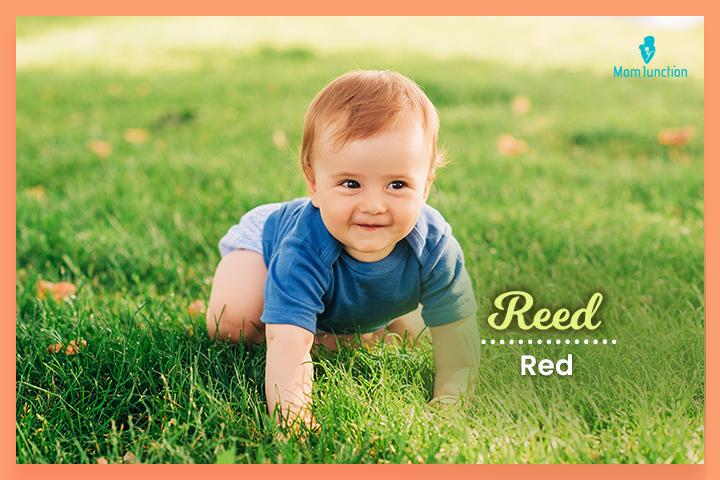 Last names that start with R, Reed