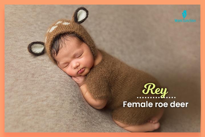 Last names that start with R, Rey