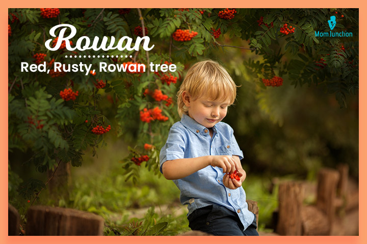 Rowan means rowan tree