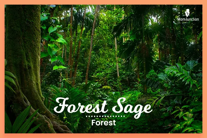 Weird Celebrity Baby Names Forest Sage 