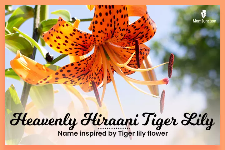 Weird Celebrity Baby Names Heavenly Hiraani Tiger Lily