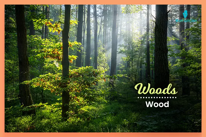 Last names that start with W, Woods meaning ‘wood.’