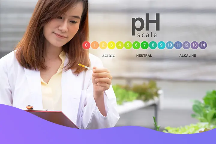 The pH Factor Why 5.5 Matters