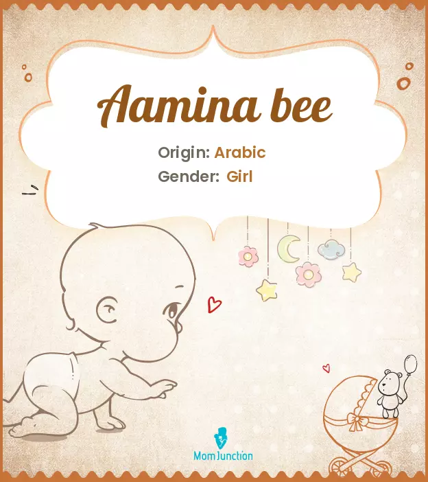 aamina bee_image