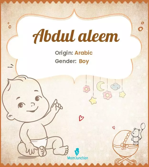 966 Blessed Urdu Baby Names For Your Child_image