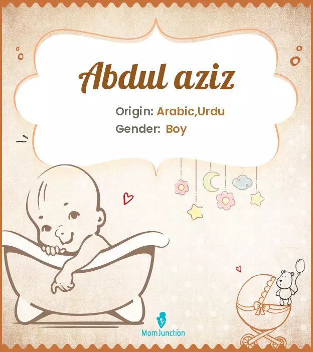 abdul aziz_image