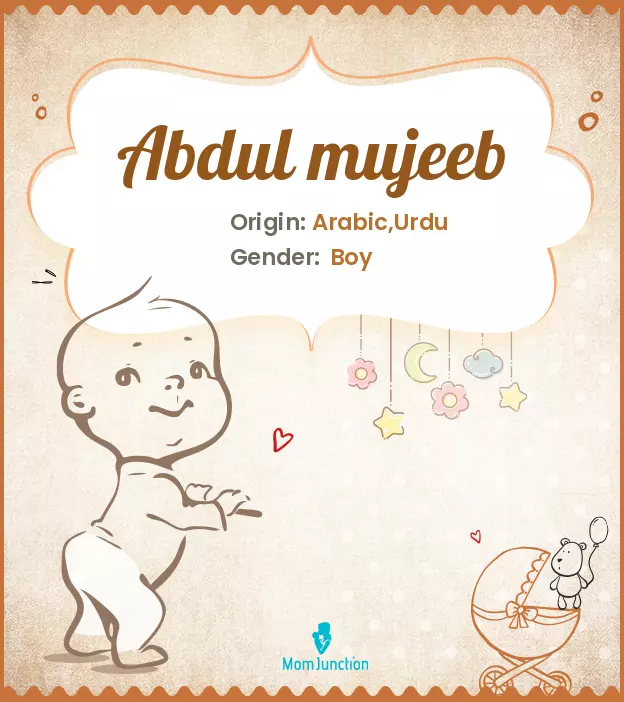 abdul mujeeb