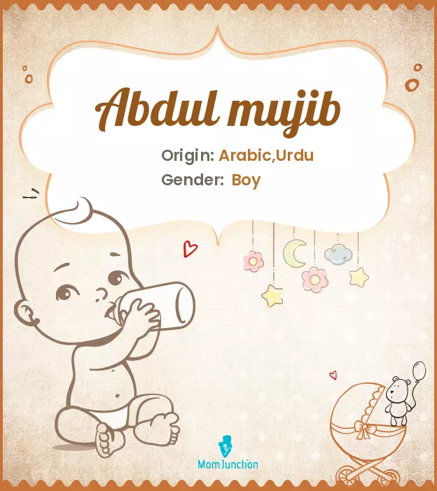 abdul mujib