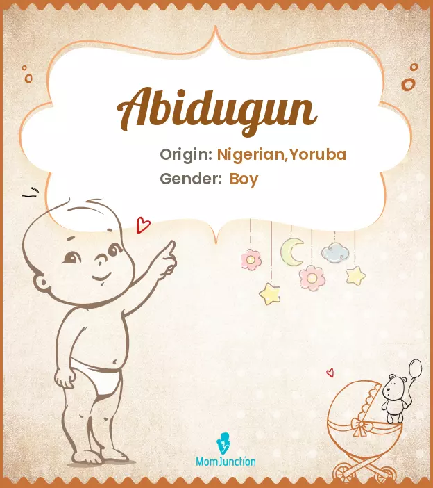 Abidugun_image