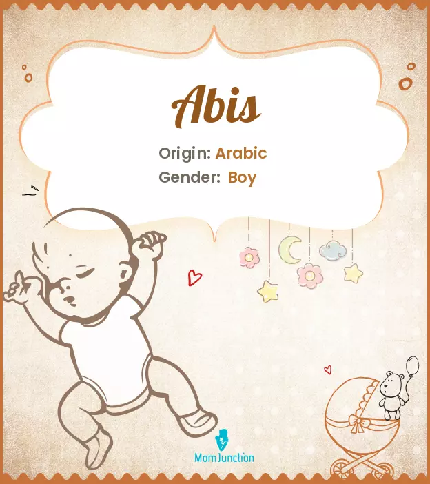 Abis Baby Name: Meaning, Origin, Popularity | MomJunction