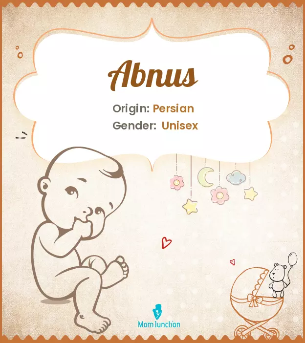 Abnus Baby Name: Meaning, Origin, Popularity_image