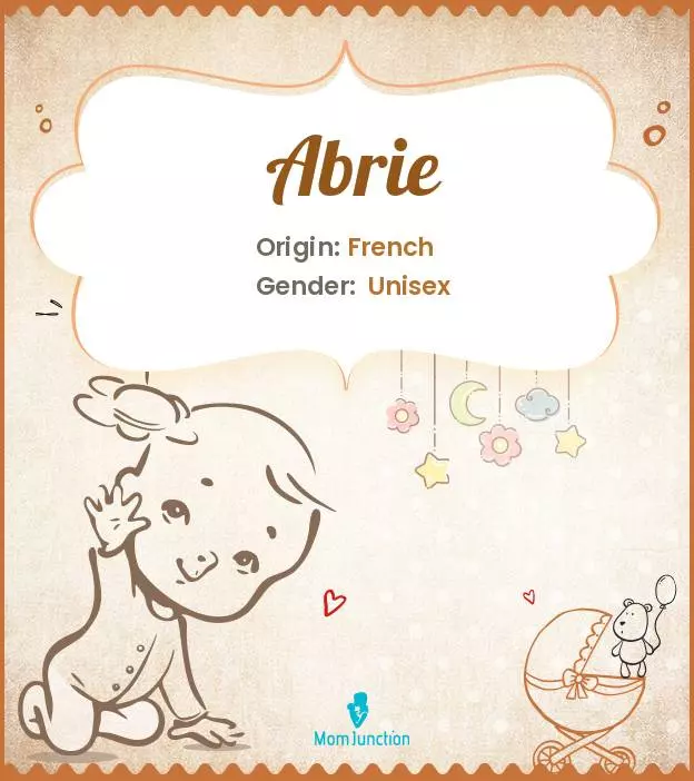 Abrie Baby Name: Meaning, Origin, Popularity_image