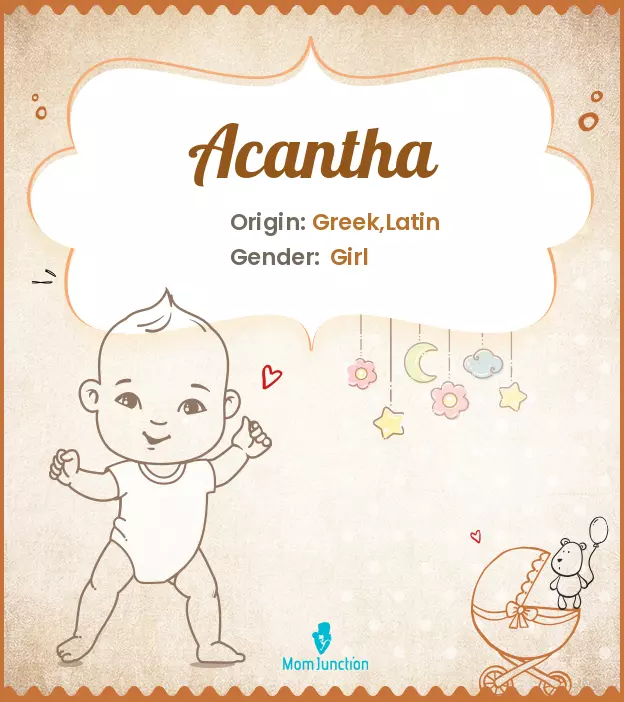 Acantha Baby Name: Meaning, Origin, Popularity | MomJunction