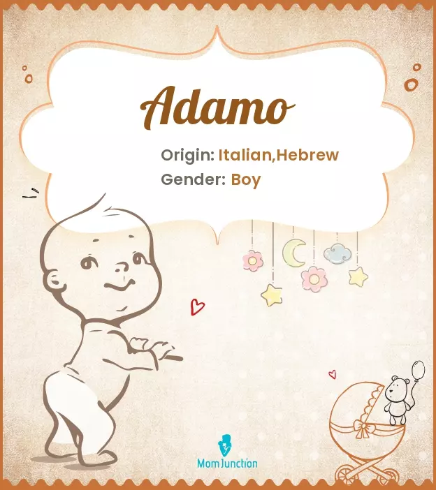 Adamo Baby Name: Meaning, Origin, Popularity | MomJunction