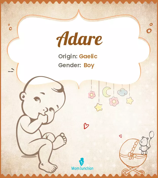 Adare Baby Name: Meaning, Origin, Popularity_image