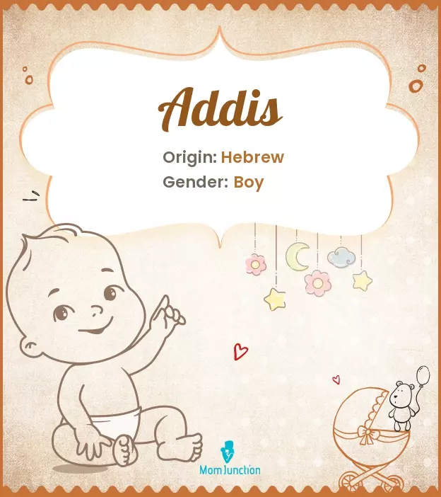 Addis Baby Name: Meaning, Origin, Popularity_image