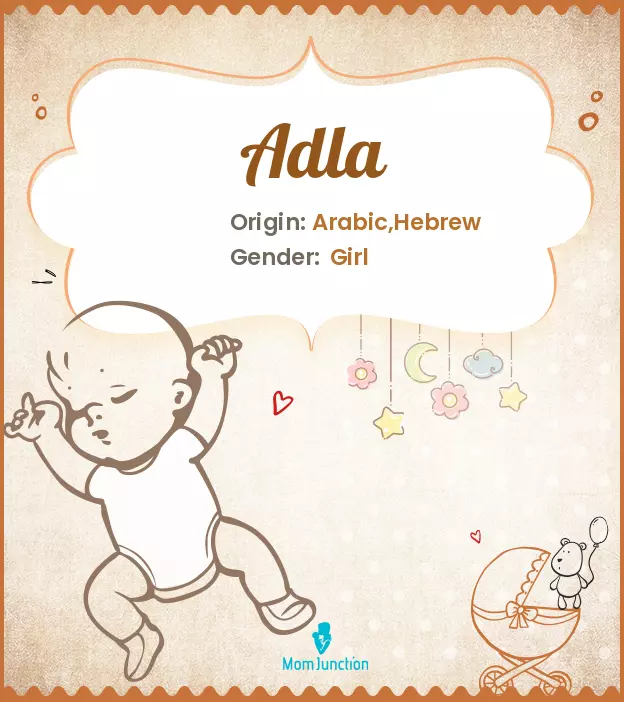 Adla Baby Name: Meaning, Origin, Popularity_image