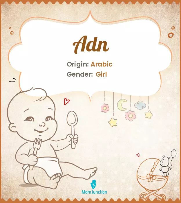 Adn Baby Name: Meaning, Origin, Popularity_image