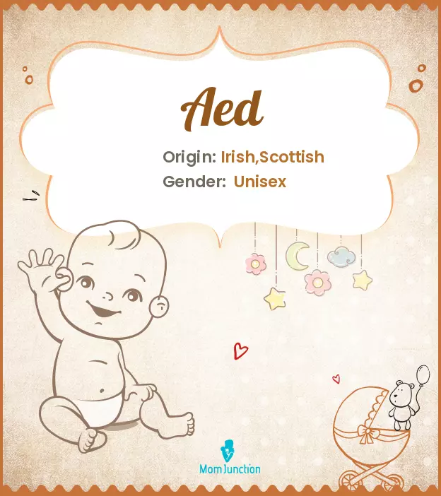 Aed Baby Name: Meaning, Origin, Popularity | MomJunction