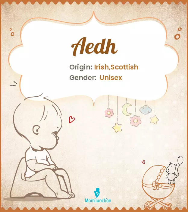 aedh_image