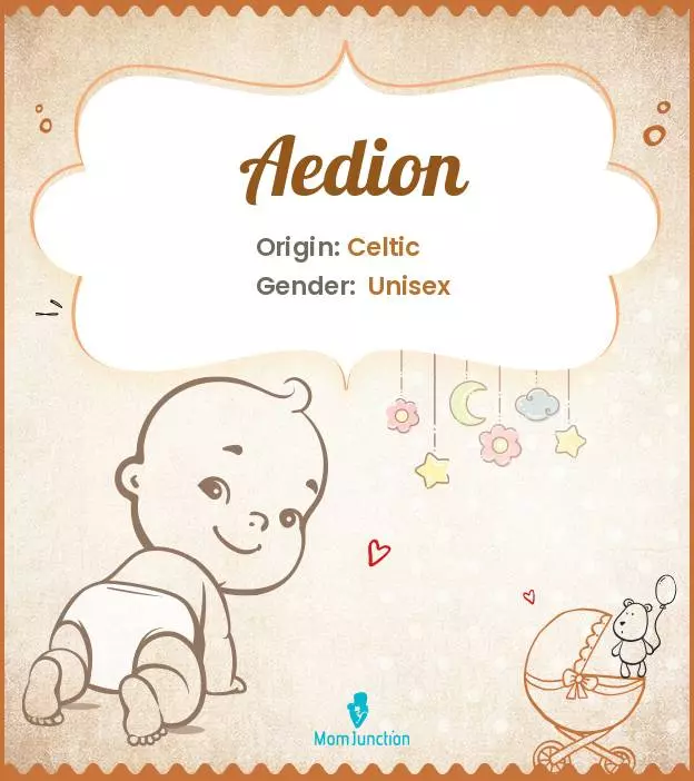 Aedion Baby Name: Meaning, Origin, Popularity_image